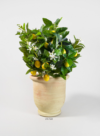 Tunisian Handmade Volute Urn Planter Decor Jamali Garden