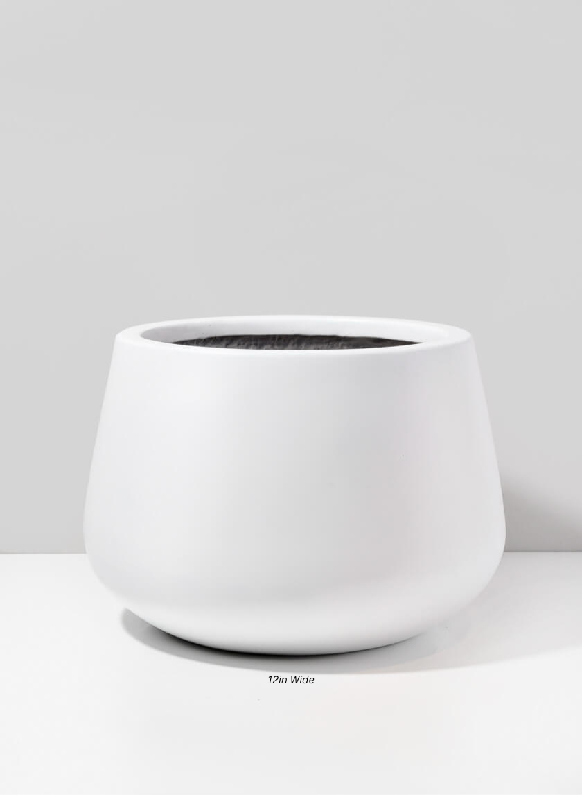 Pyxis White Fiber Stone Pot Decor Jamali Garden 12in Wide EACH