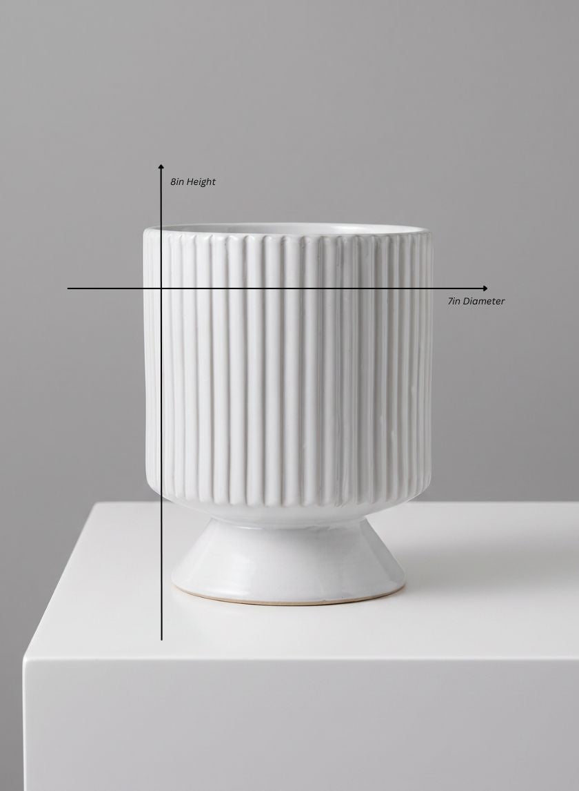 Florist Choice White Ceramic Cachepot with Base Decor Jamali Garden White 8in Tall EACH