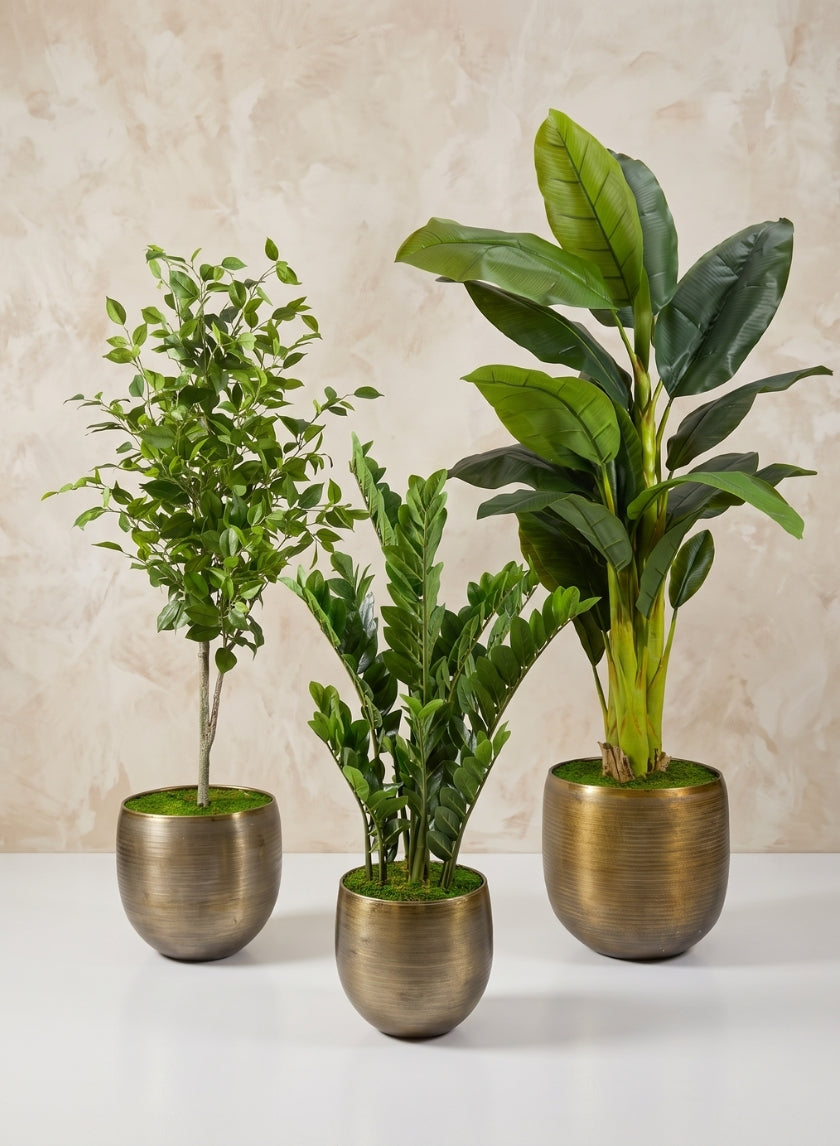 Chatai Cache Pot Zinc Planter Decor Jamali Garden