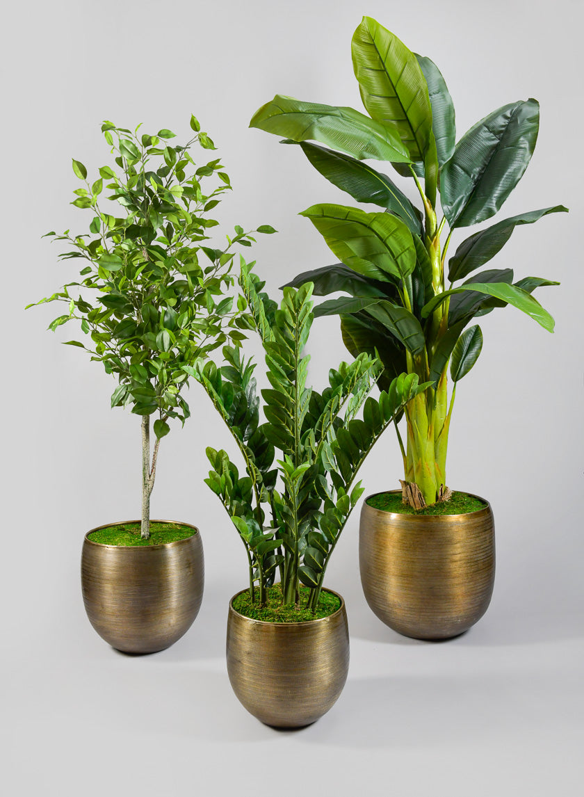 decorative planter indoor Chatai Cache Pot Planter- Jamali Garden