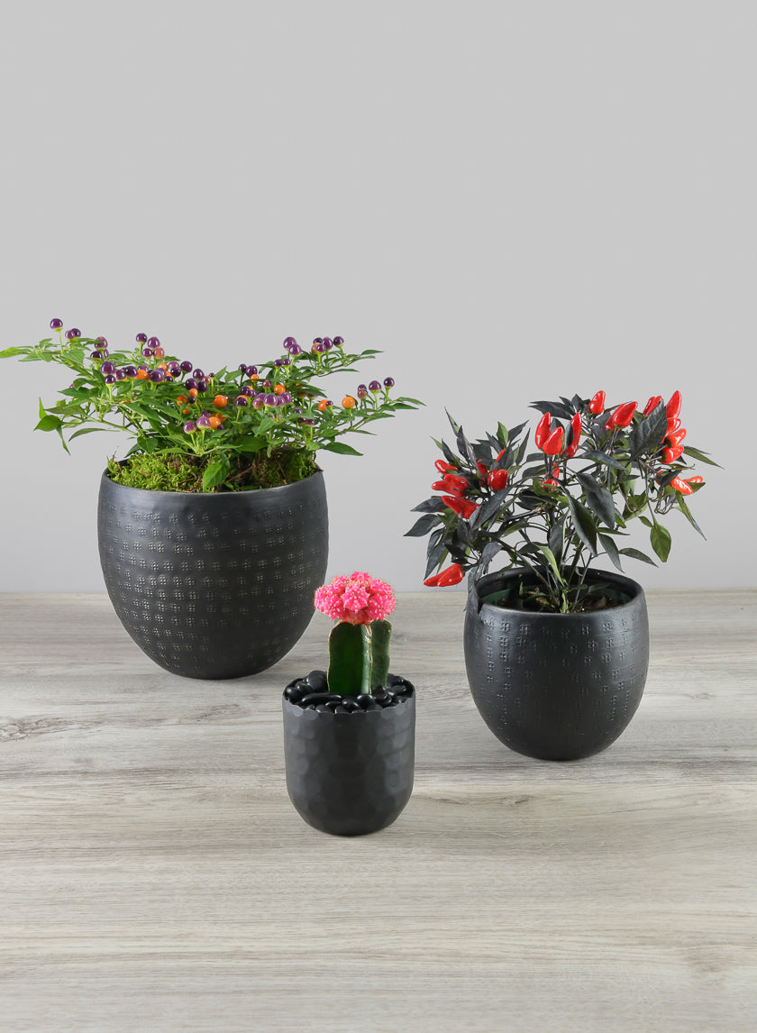 contemporary plant pots Anga Aluminum Ethnic Black Pot – Jamali Garden
