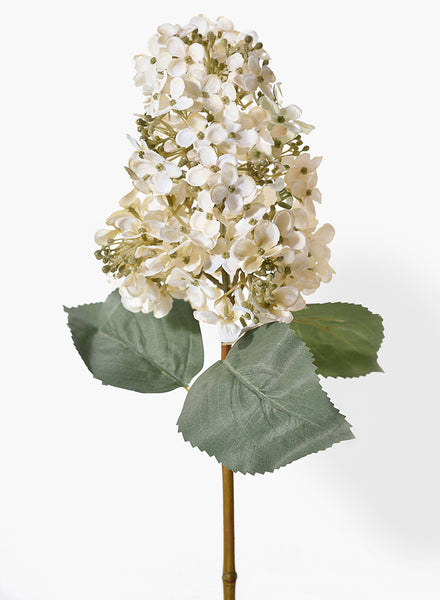 20in Long White Panicle Hydrangea, Case of 12 – Jamali Garden