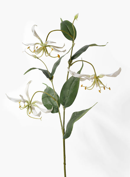 white gloriosa lily 32in Long White Gloriosa Lily, Case of 12