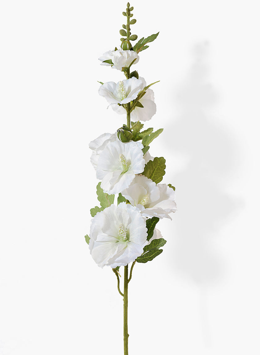 hollyhock potted plant 36in Long White Hollyhock, Case of 6