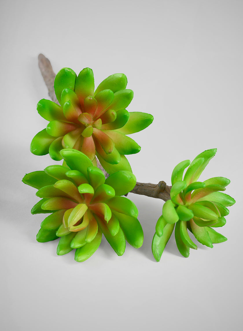 12in Long Three Head Echeveria Spray, Case of 12 Decor Jamali Garden