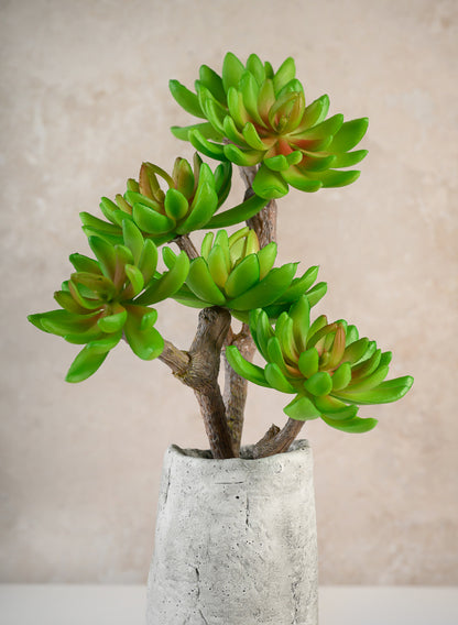 12in Long Three Head Echeveria Spray, Case of 12 Decor Jamali Garden