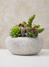 7.5in Long Lava Rock Pot Decor Jamali Garden