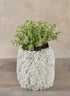 6.5in Tall Lava Rock Vase Decor Jamali Garden