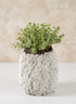 6.5in Tall Lava Rock Vase Decor Jamali Garden