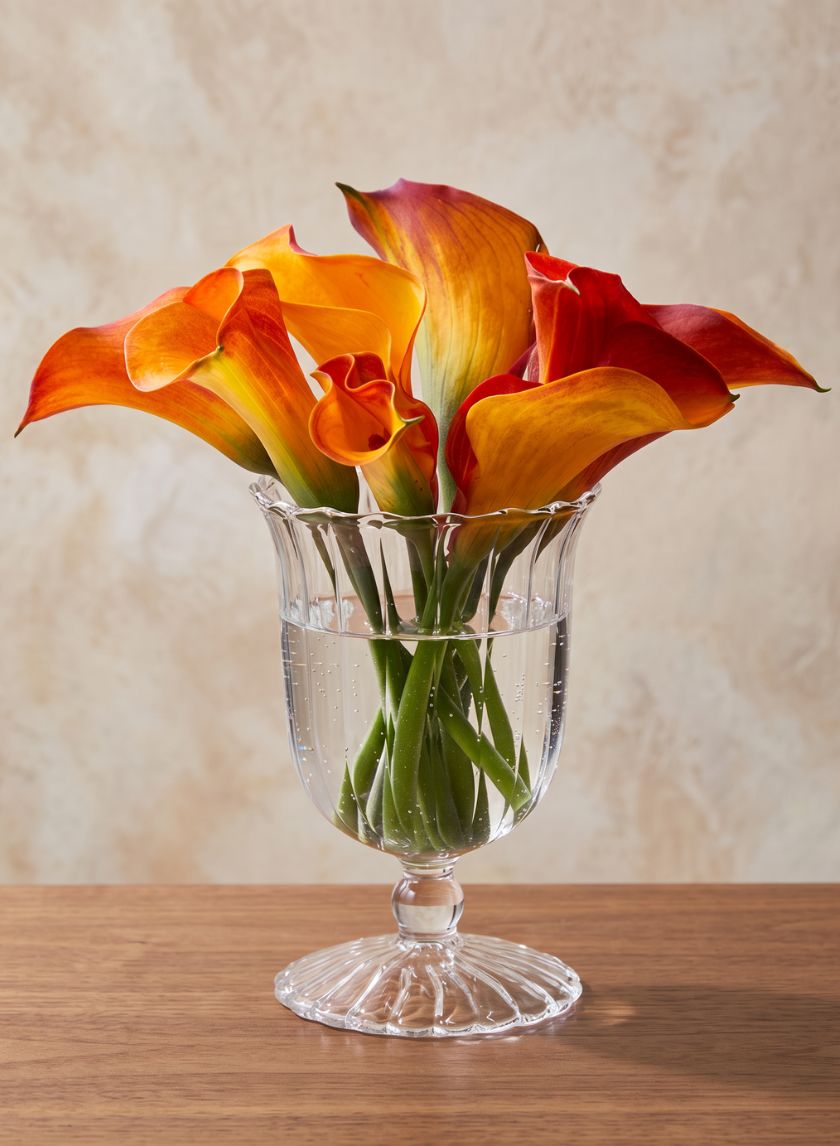 5.25in Tall Optical Glass Mini Urn Vase Decor Jamali Garden