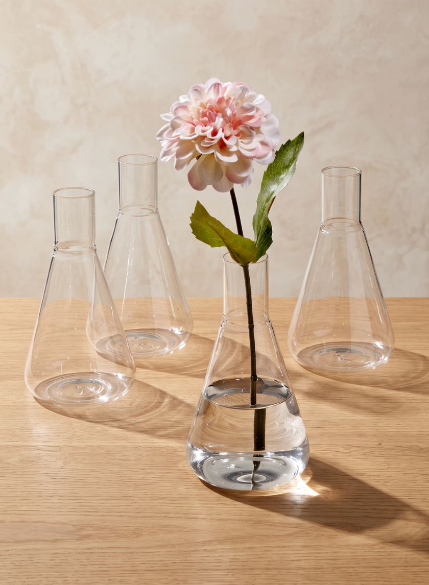 Chemist Flasks Decor Jamali Garden