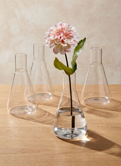 Chemist Flasks Decor Jamali Garden