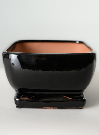 11in Long Penjing Rectangle Bonsai Ceramic Pot with Saucer, Gloss Black Decor Jamali Garden