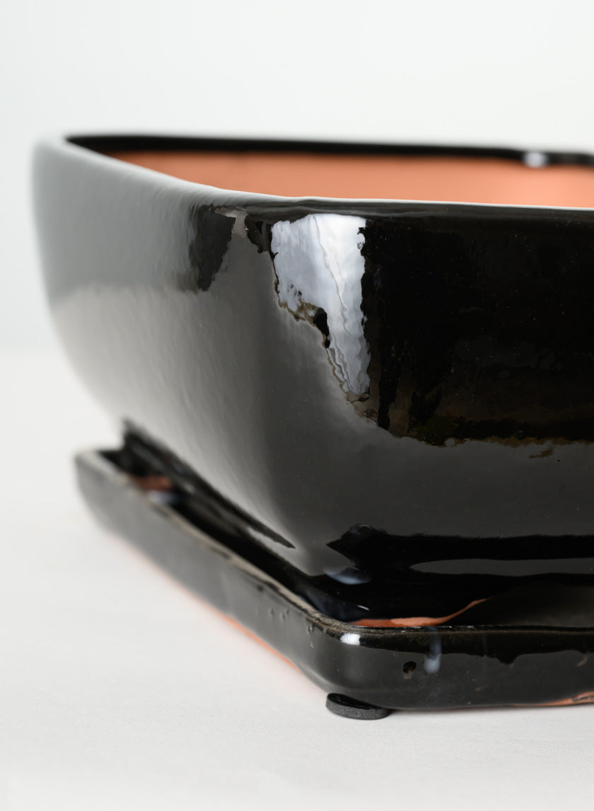 11in Long Penjing Rectangle Bonsai Ceramic Pot with Saucer, Gloss Black Decor Jamali Garden