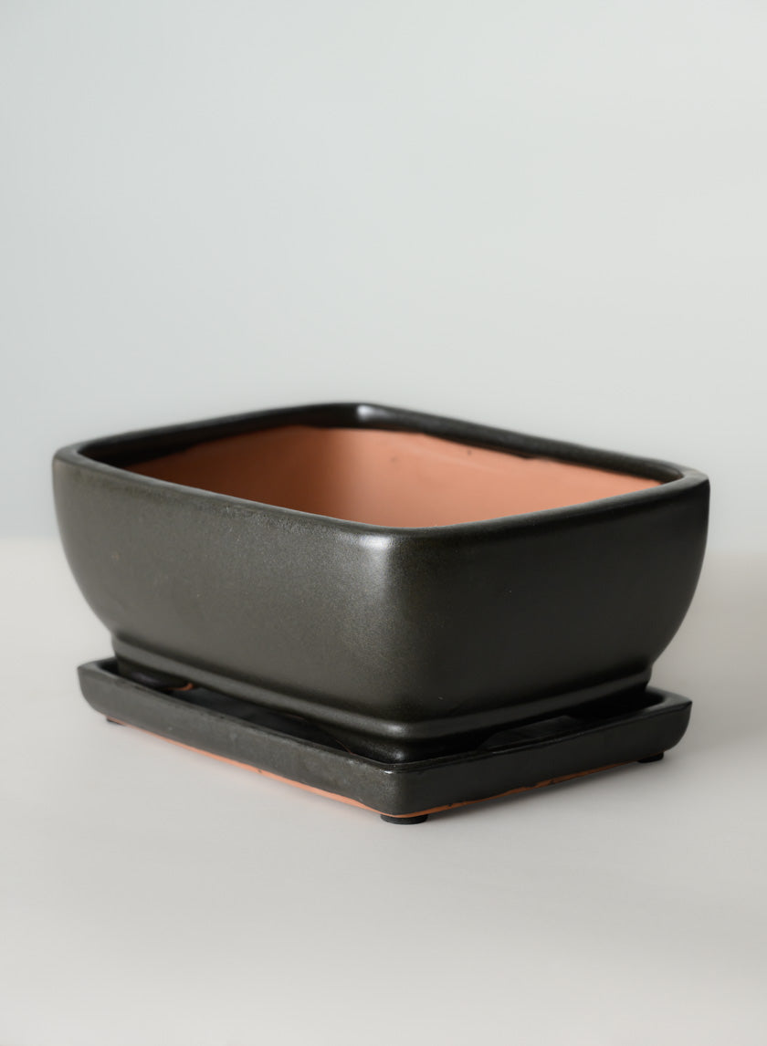 8.5in Long Penjing Rectangle Bonsai Ceramic Pot with Saucer, Matte Black Decor Jamali Garden
