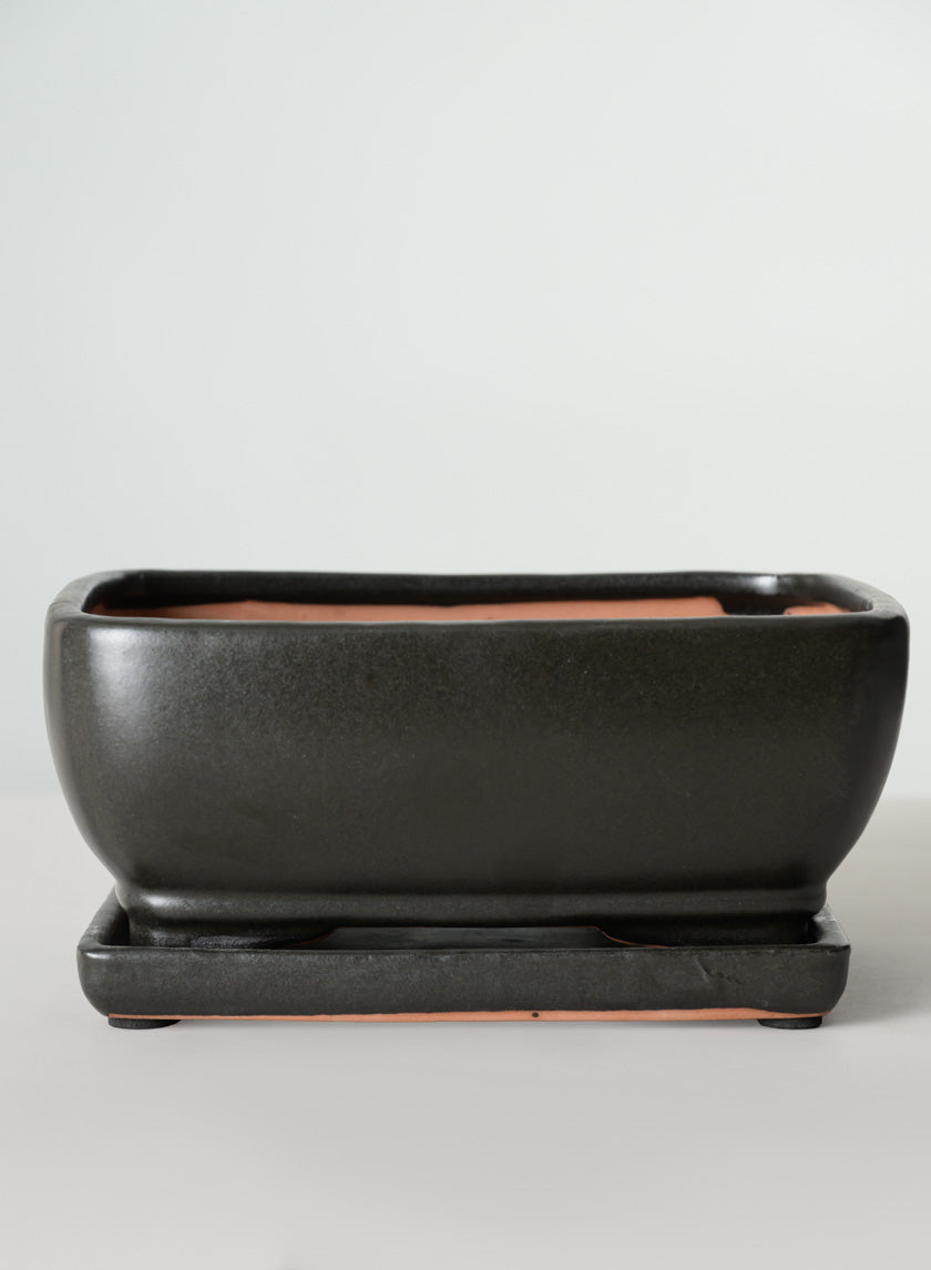 8.5in Long Penjing Rectangle Bonsai Ceramic Pot with Saucer, Matte Black Decor Jamali Garden