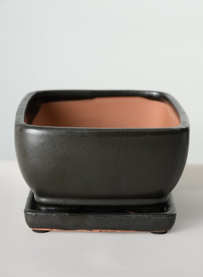 8.5in Long Penjing Rectangle Bonsai Ceramic Pot with Saucer, Matte Black Decor Jamali Garden