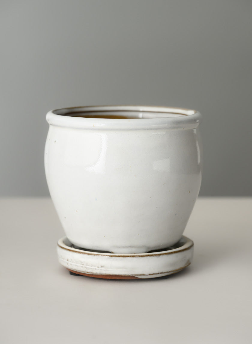 5in Tall Ming Cloud White Ceramic Pot with Saucer Decor Jamali Garden