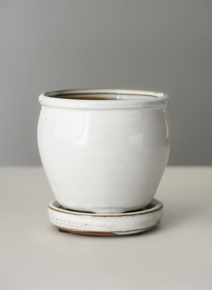 5in Tall Ming Cloud White Ceramic Pot with Saucer Decor Jamali Garden