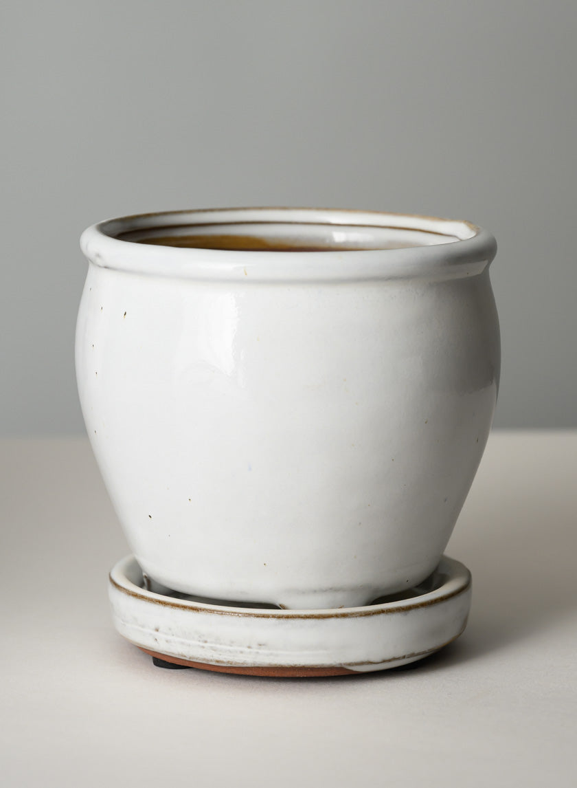 5in Tall Ming Cloud White Ceramic Pot with Saucer Decor Jamali Garden