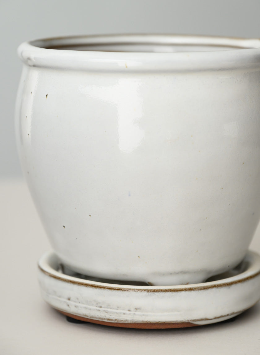 5in Tall Ming Cloud White Ceramic Pot with Saucer Decor Jamali Garden