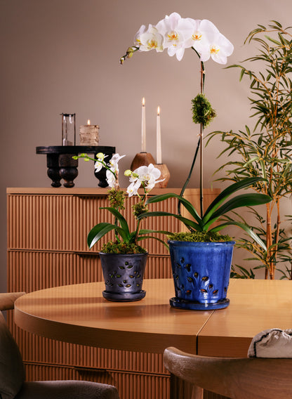 6in Tall Platinum Orchid Ceramic Pot with Saucer Decor Jamali Garden