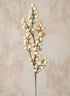 27in Long White Berry Pick, Case of 12 Decor Jamali Garden