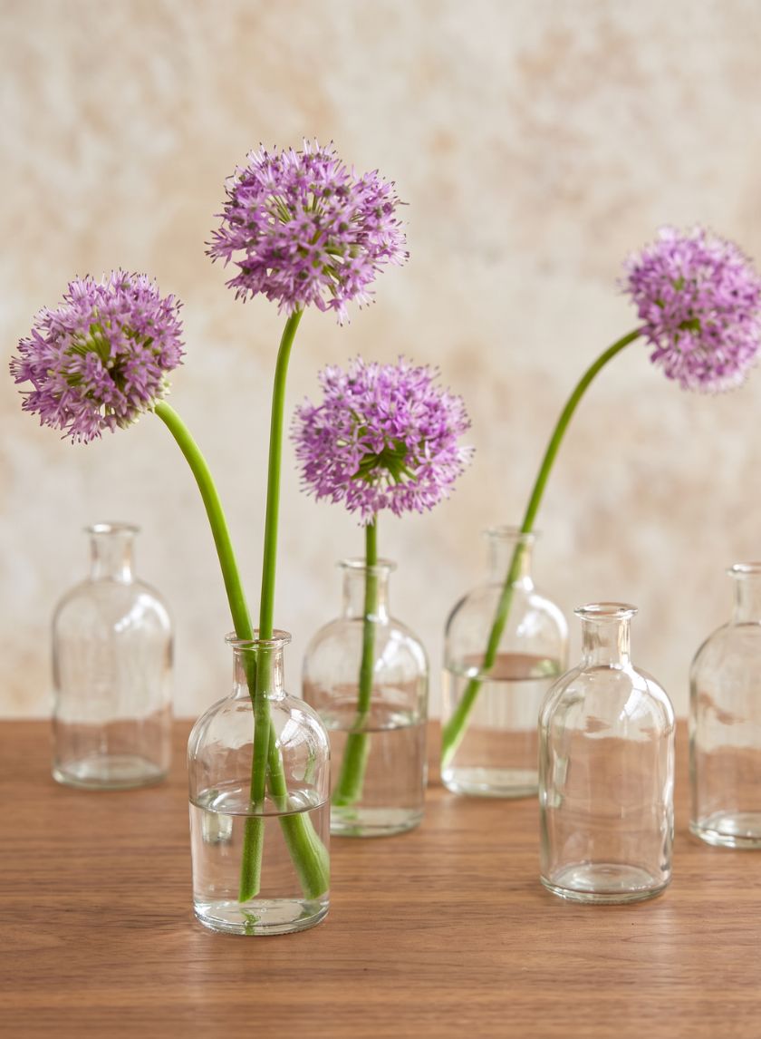 5.25in Tall Clear Medicine Bottle Bud Glass Vase, Set of 6 Decor Jamali Garden