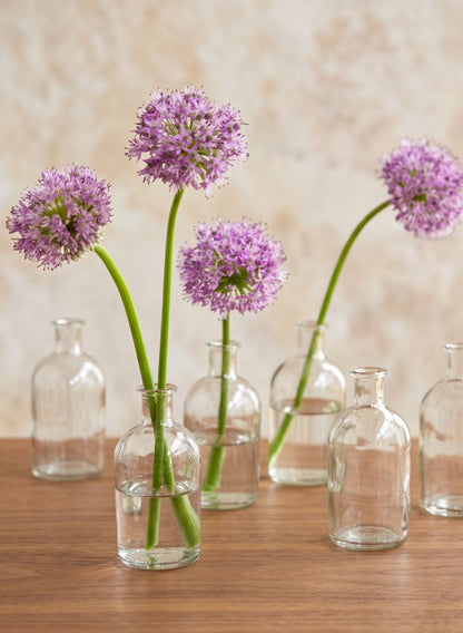 5.25in Tall Clear Medicine Bottle Bud Glass Vase, Set of 6 Decor Jamali Garden