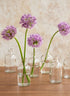 5.25in Tall Clear Medicine Bottle Bud Glass Vase, Set of 6 Decor Jamali Garden