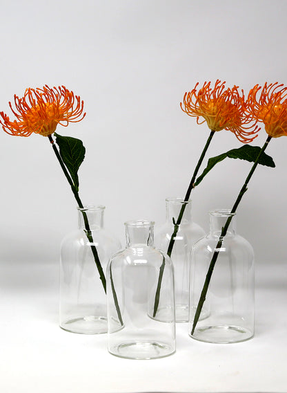 5 3/4in Tall Bottle Glass Bud Vase, Set of 4 Decor Jamali Garden