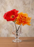5.5in Tall Classic Urn Glass Vase, Small Decor Jamali Garden