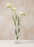 Waves Gold Rim Faceted Vase Decor Jamali Garden