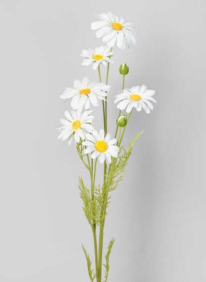 35in Long White Shasta Daisy Spray, Case of 12 Decor Jamali Garden