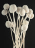24in Long Bleached Craspedia Bunch Decor Jamali Garden