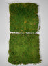 Preserved Bulk Green Sheet Moss â 11 Sq. Ft.