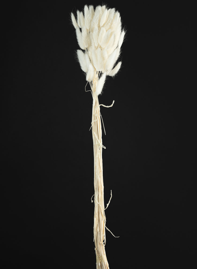 26in Long Bleached Bunny Tail Bunch Decor Jamali Garden