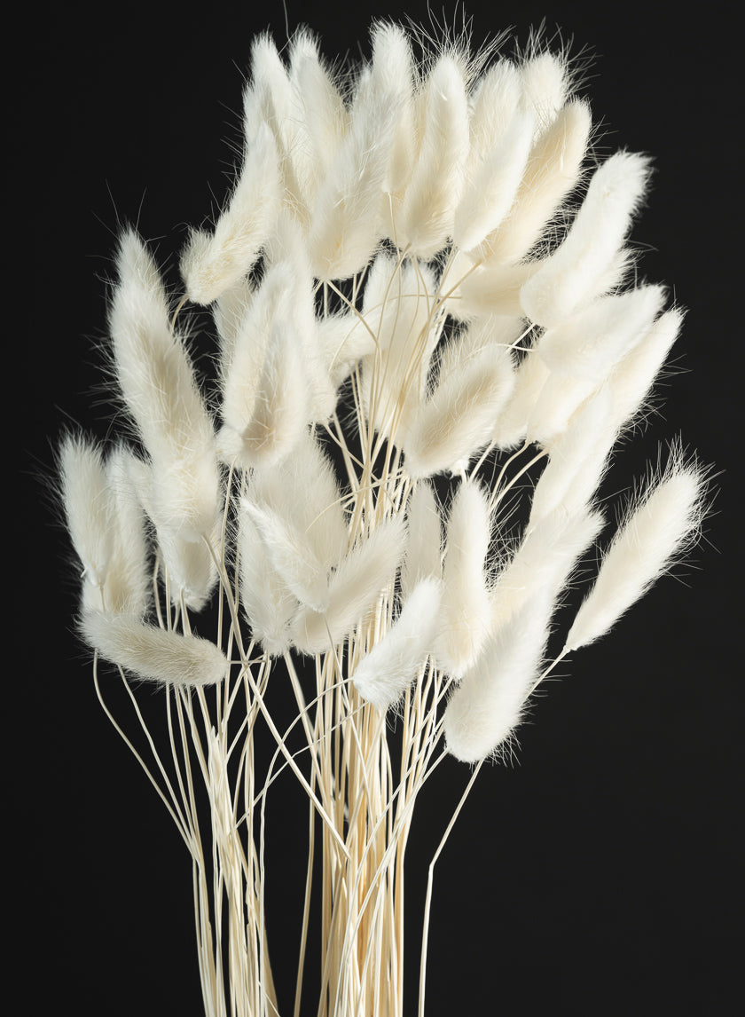 26in Long Bleached Bunny Tail Bunch Decor Jamali Garden