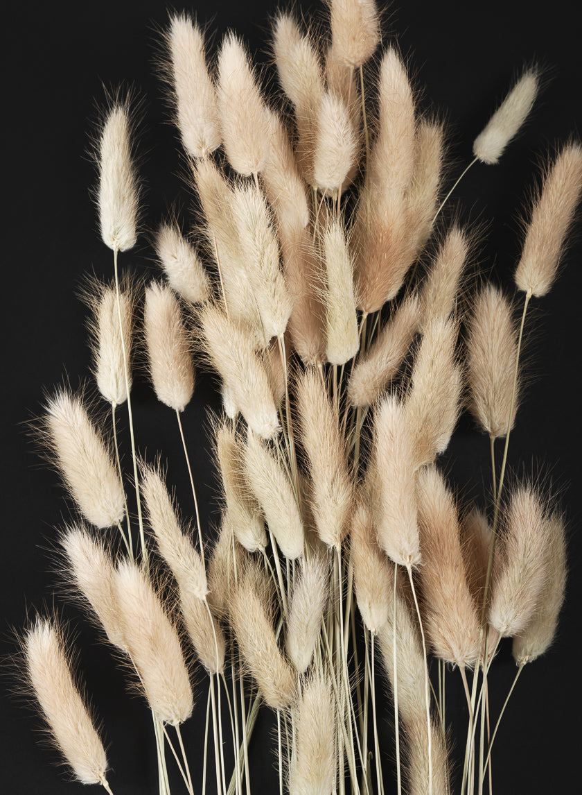 26in Long Natural Bunny Tail Bunch