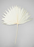 20in Long Bleached Sun Palm Leaf Decor Jamali Garden