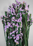 28in Long Preserved Pink Statice Flower Bunch Decor Jamali Garden