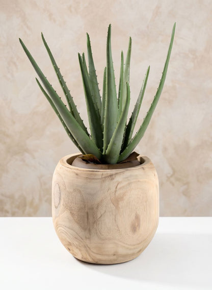 8in Wide Paulownia Wood Fishbowl Vase Decor Jamali Garden