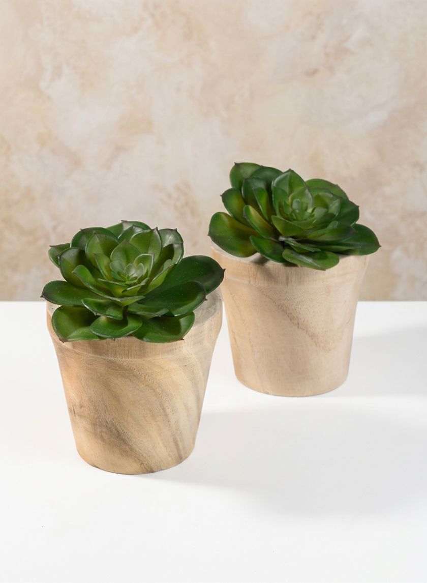4.5in Tall Paulownia Wood Pot, Set of 2