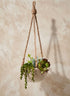 4.5in Tall Hanging Paulownia Wood Bowl Decor Jamali Garden