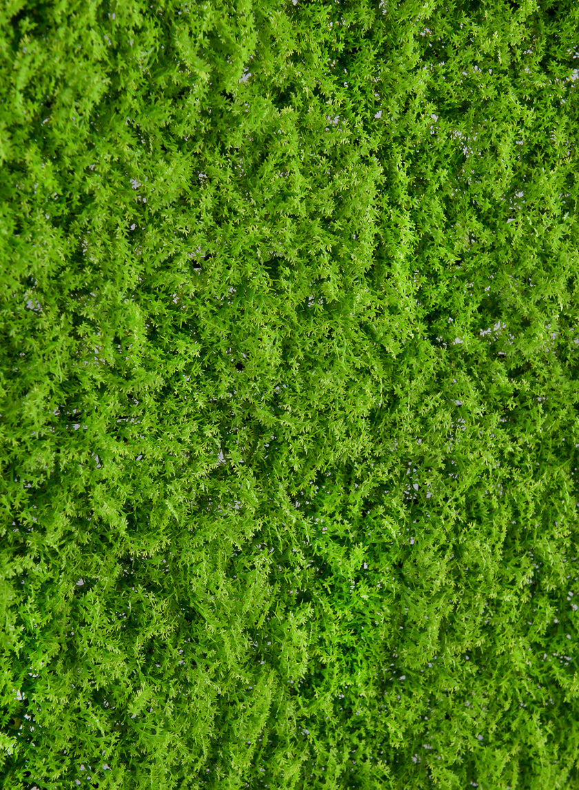 20in Square Realistic Evergreen Moss Mat (Indoor/Outdoor) – Jamali Garden