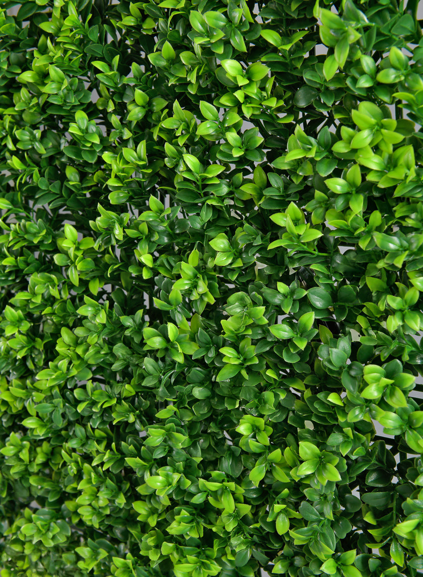 indoor plant mat 20in Square Mature Boxwood Mat (Indoor/Outdoor) – Jamali Garden