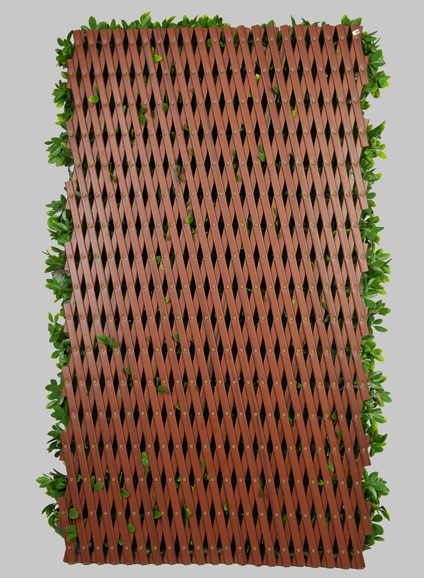 expanding wood trellis 180cm x 60cm 40in x 80in Boxwood Accordion Expanding Trellis (Indoor/Outdoor)
