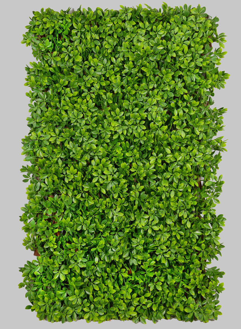 trellis artificial plants 40in x 80in Boxwood Accordion Expanding Trellis (Indoor/Outdoor) – Jamali Garden