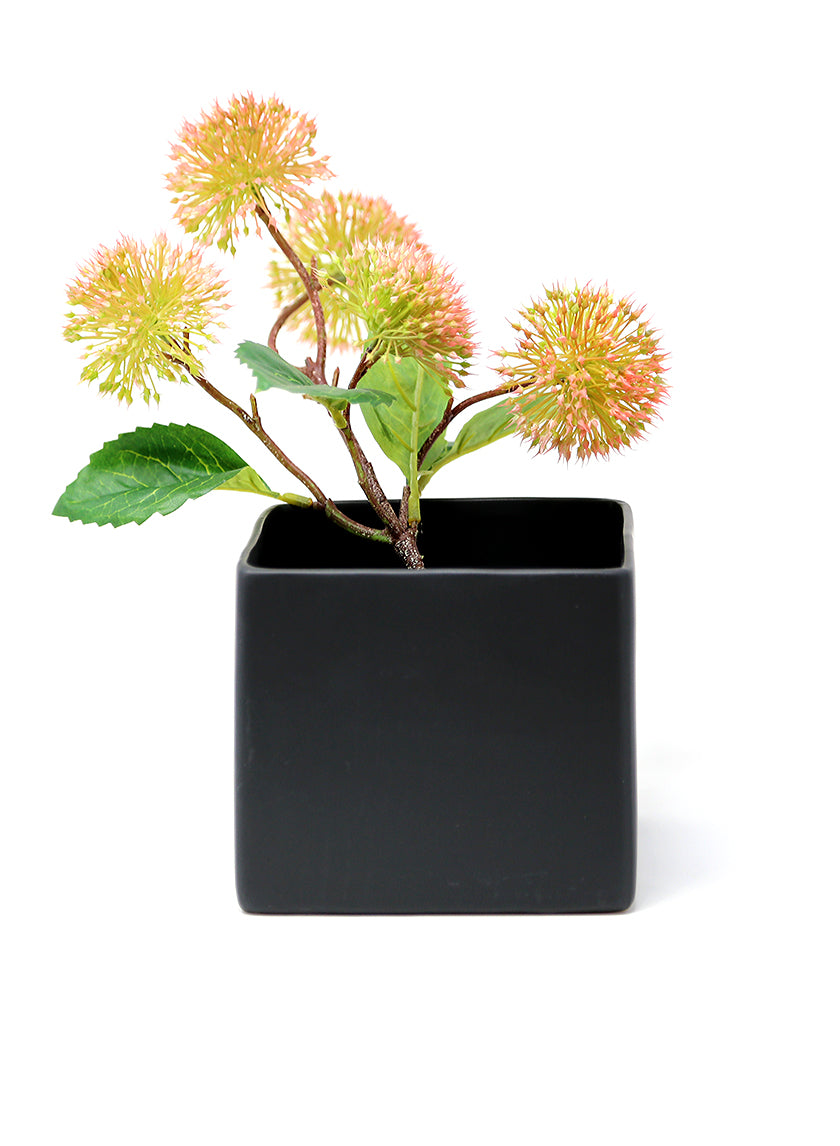 black cube plant pots Matte Black Ceramic Cube